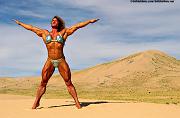female muscle, figure, women's bodybuilding, women bodybuilders, fitness, figure